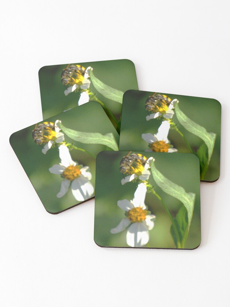 Thumbnail 1 of 5, Coasters (Set of 4), Leaf-Cutter Bee designed and sold by MercerImages.