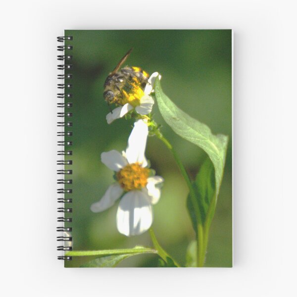 Item preview, Leaf-Cutter Bee designed and sold by MercerImages.
