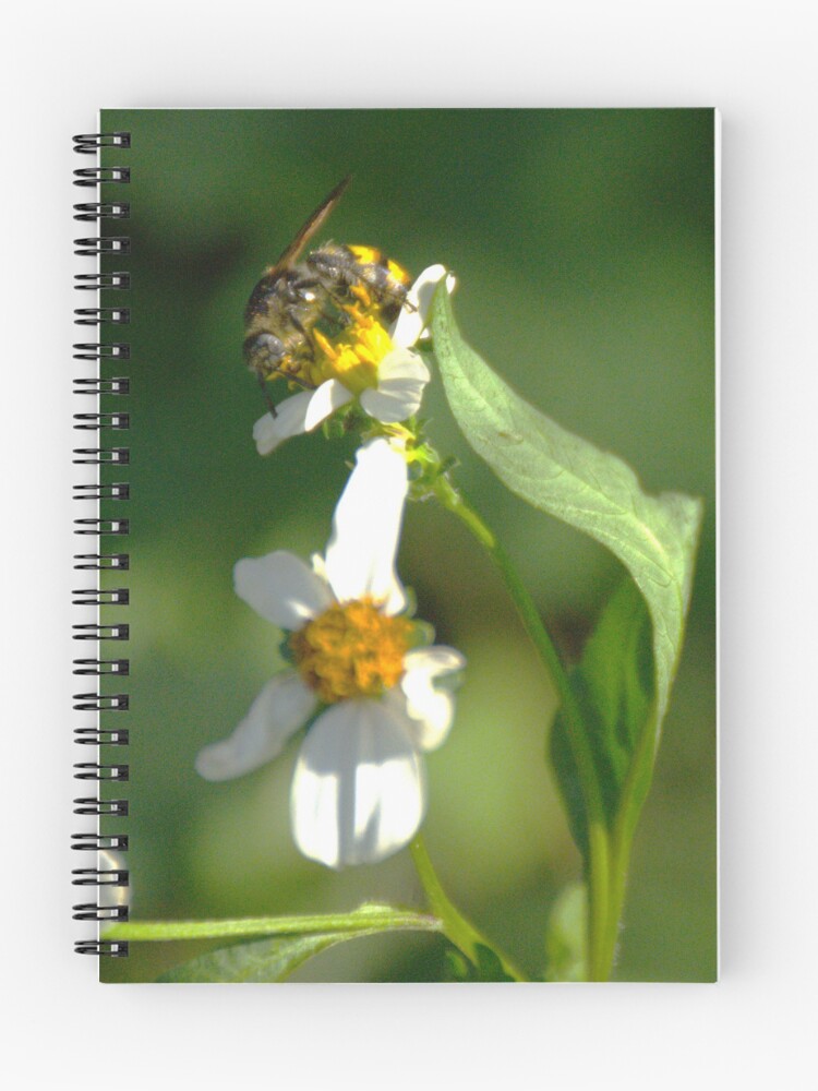 Thumbnail 1 of 3, Journal, Leaf-Cutter Bee designed and sold by MercerImages.