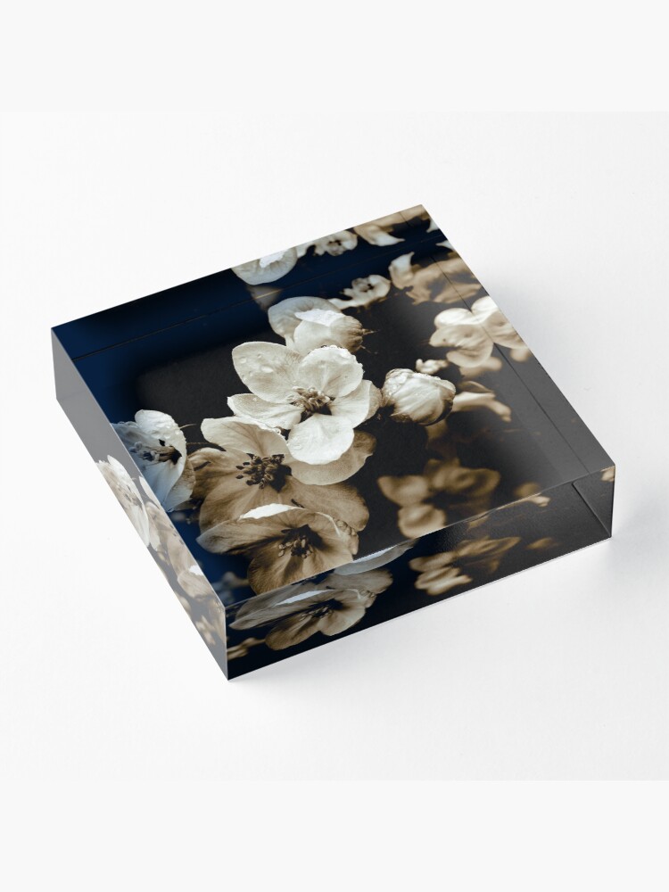 Alternate view of Apple Blossom Acrylic Block