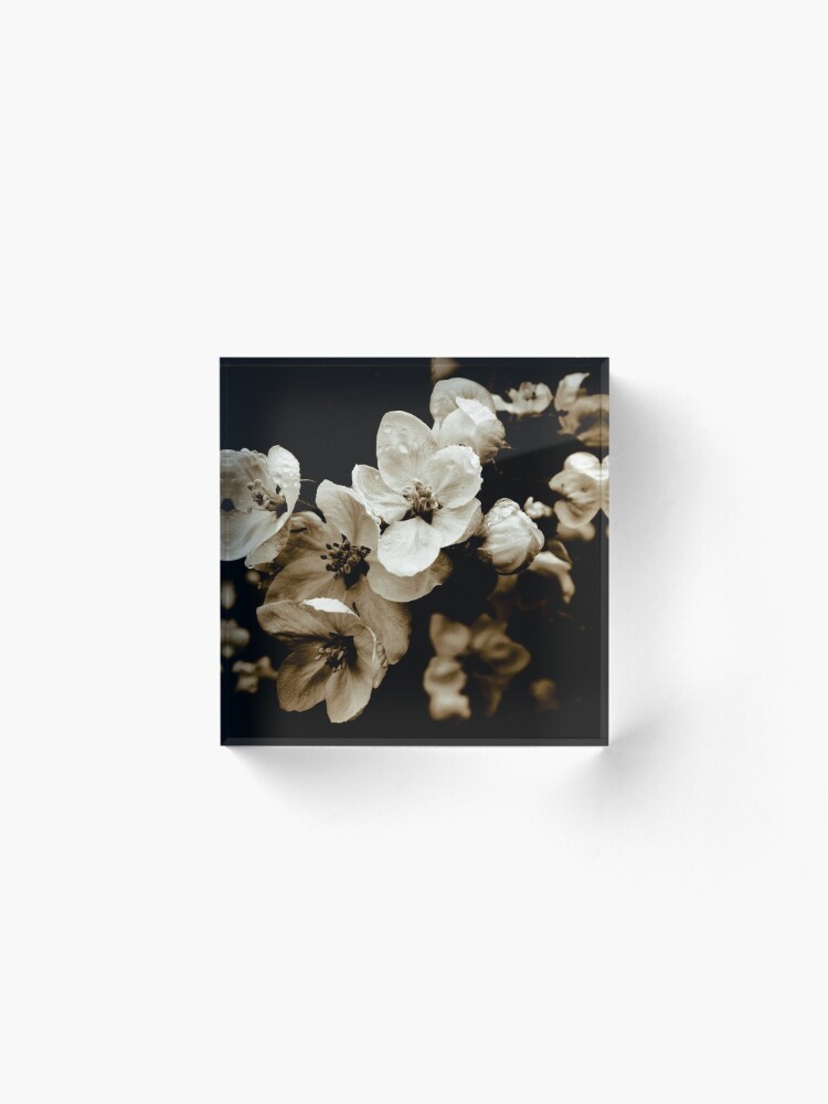 Alternate view of Apple Blossom Acrylic Block