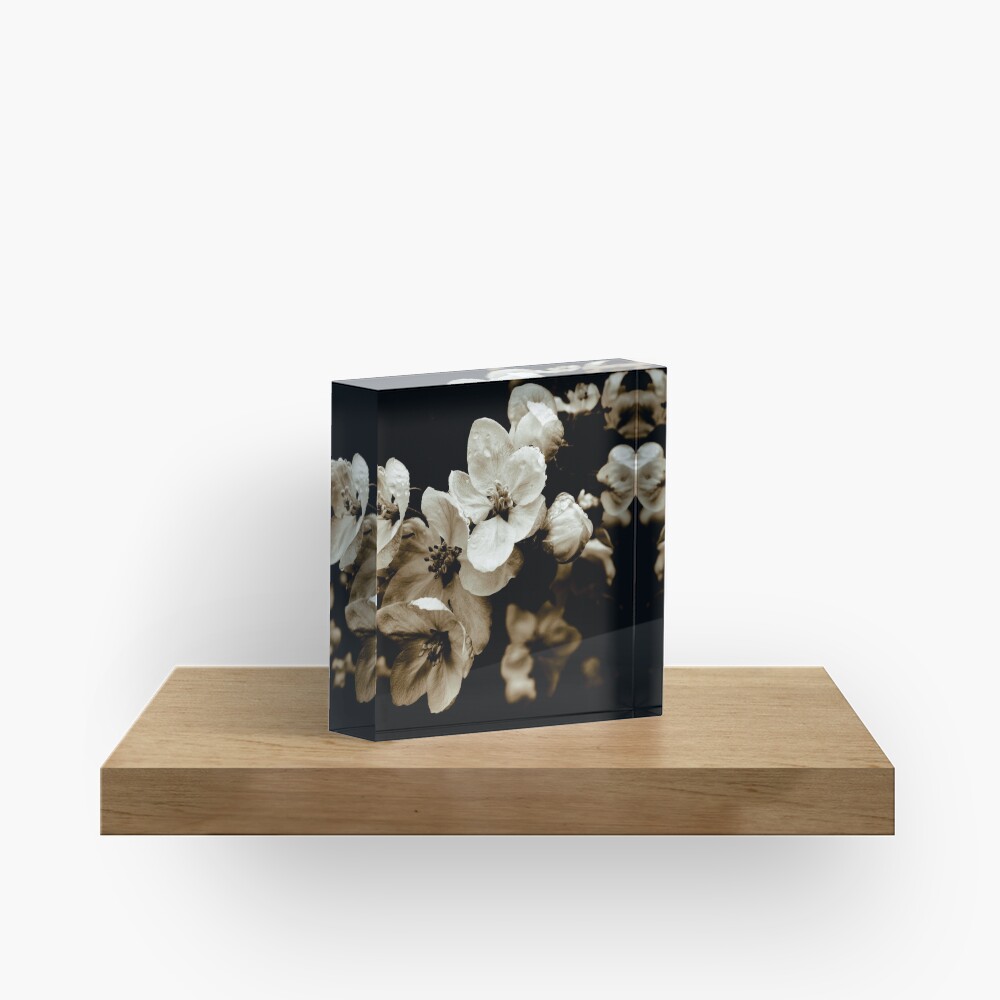 Apple Blossom Acrylic Block