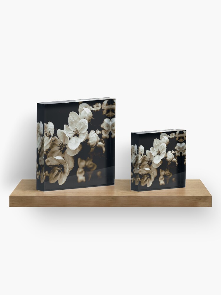 Alternate view of Apple Blossom Acrylic Block