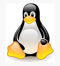 Tux Linux manchot Photographic Print