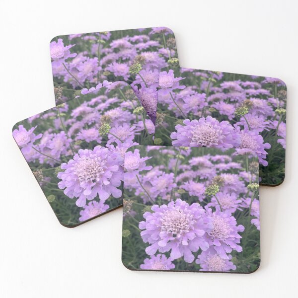 Item preview, Pincushion Scabiosa  designed and sold by Lil-Ari.