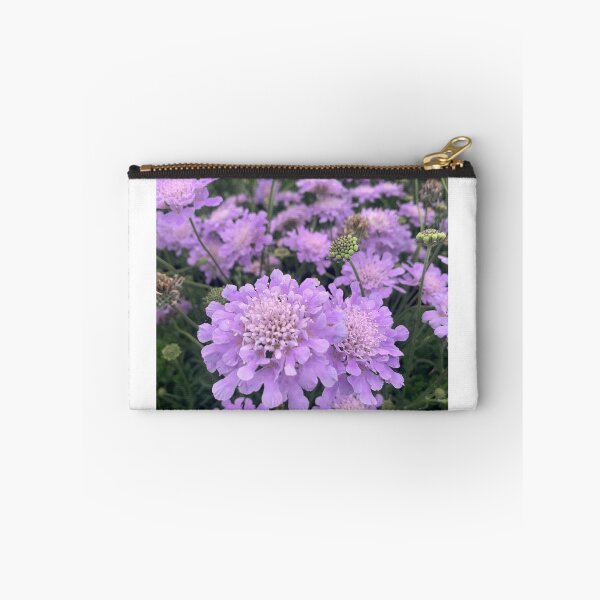 Item preview, Pincushion Scabiosa  designed and sold by Lil-Ari.