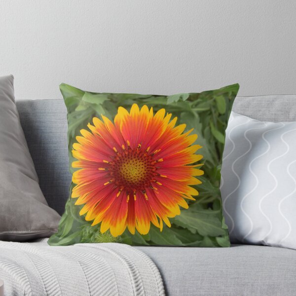 Item preview, Blanketflower Gaillardia designed and sold by Lil-Ari.