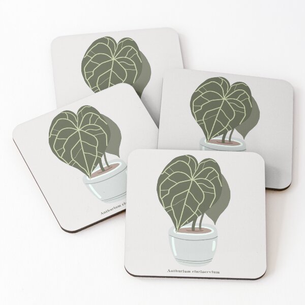 Item preview, Anthurium Clarinervium plants designed and sold by A Simple  Day..