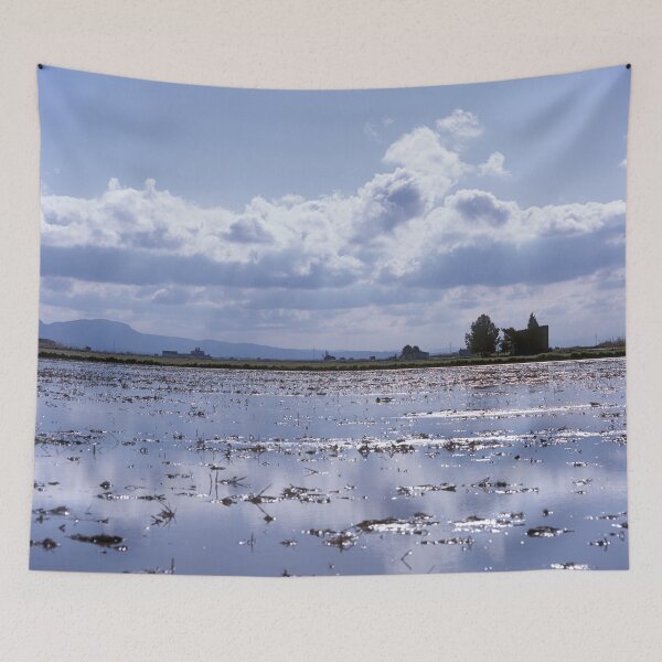 Item preview, Parc Natural de l'Albufera de València, Spain 2022 designed and sold by Michel Meijer.