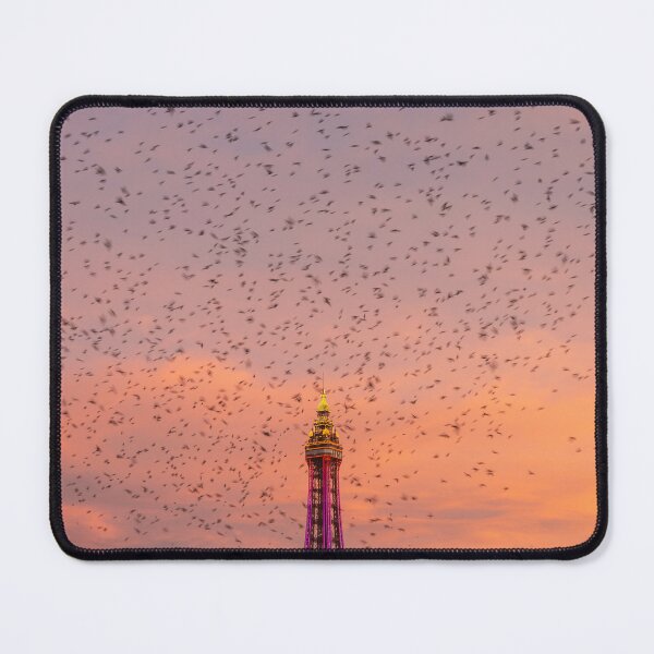 Item preview, Starlings over Blackpool Tower designed and sold by johnthrelfall.