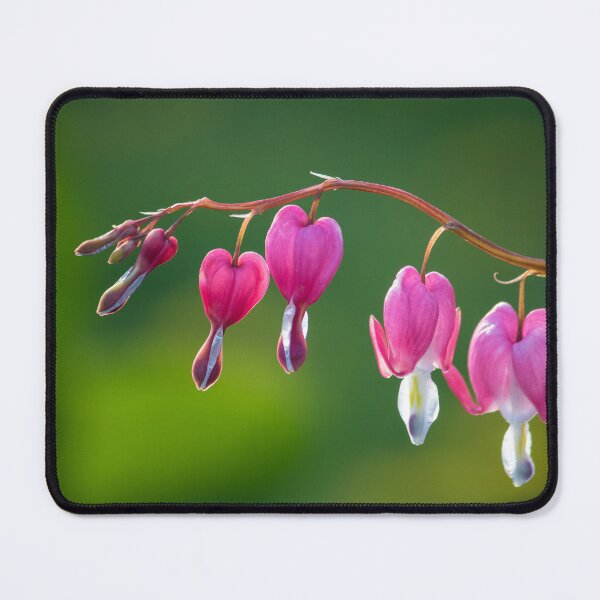 Item preview, Bleeding Hearts designed and sold by MoodandMagic.