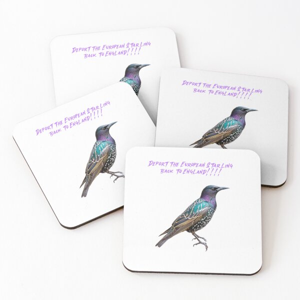 Item preview, Deport the European Starling back to England!!!! designed and sold by phelanartwork67.