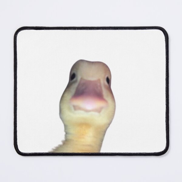 Artikelvorschau, neugieriges kleines Huhn entworfen und verkauft von FunkisDesignes.