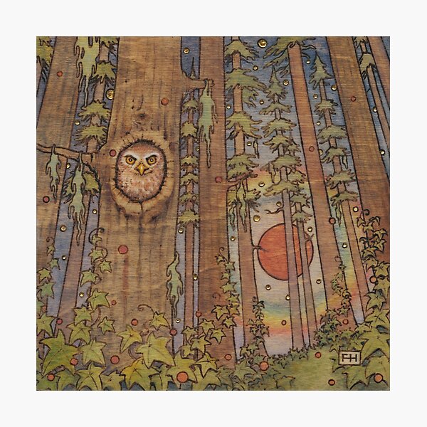 Item preview, Owl in the Forest designed and sold by Fay Helfer.