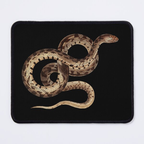 Item preview, Vintage Constrictor Snake Scientific Illustration designed and sold by InnerCitadel.