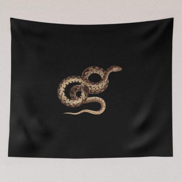 Item preview, Vintage Constrictor Snake Scientific Illustration designed and sold by InnerCitadel.