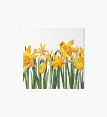 watercolor yellow narcissus Art Board
