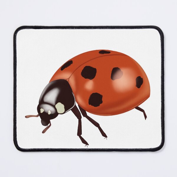 Item preview, Lady Bug Illustration designed and sold by jolydrawing.
