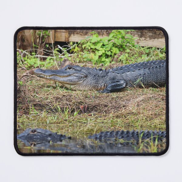 Item preview, On a February Morning designed and sold by Michiale.