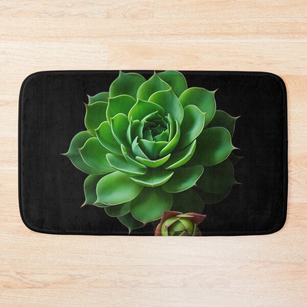 Item preview, Succulent, Digital Art designed and sold by LiliesPrint.