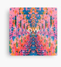 Oh Wonder Metal Print