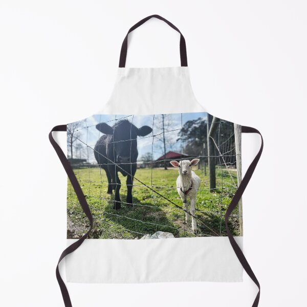 Item preview, A Duo designed and sold by Jason Tompkins.