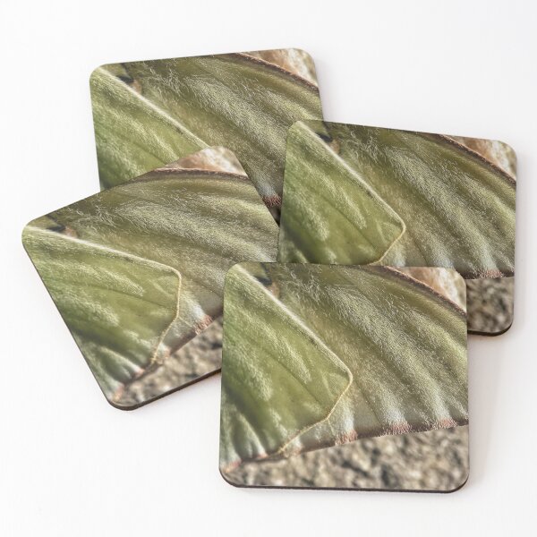 Item preview, Moth Wings designed and sold by Jason Tompkins.
