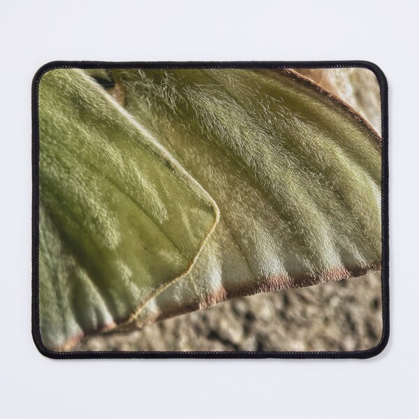 Item preview, Moth Wings designed and sold by Jason Tompkins.