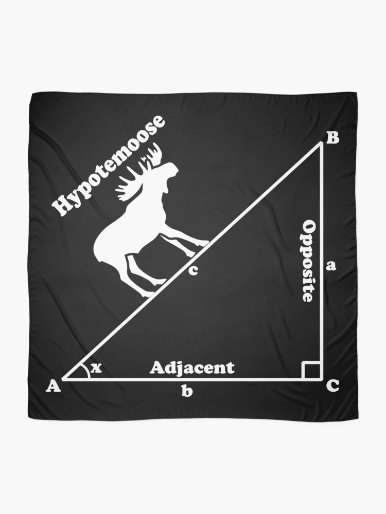 Thumbnail 2 of 3, Scarf, Hypotemoose - Math Humor designed and sold by ScienceCorner.