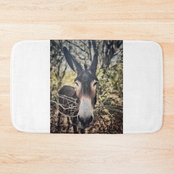 Item preview, Old Burro designed and sold by Jason Tompkins.