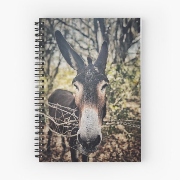 Item preview, Old Burro designed and sold by Jason Tompkins.