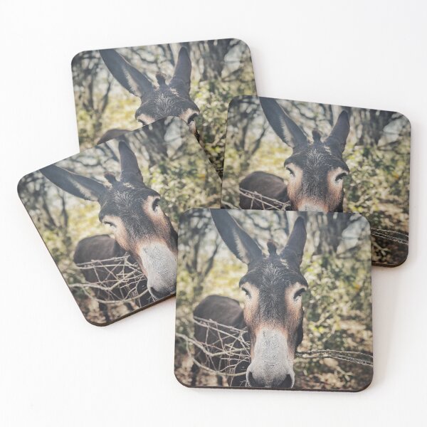 Item preview, Old Burro designed and sold by Jason Tompkins.