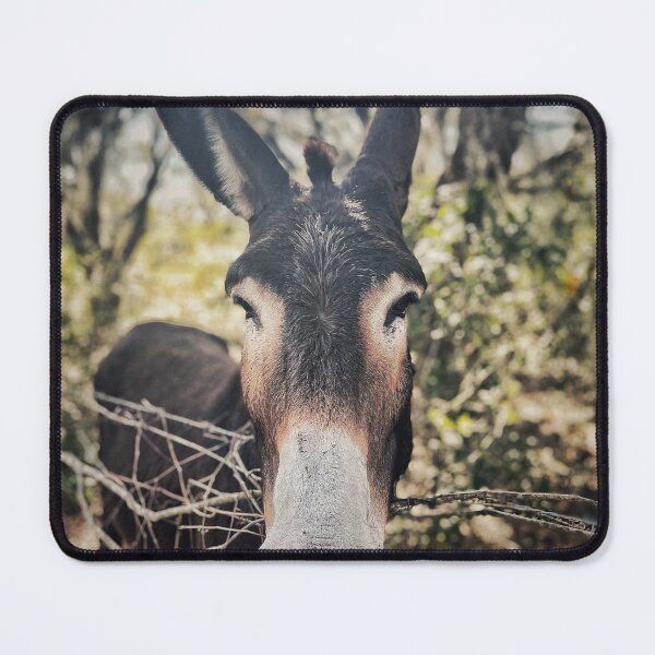 Item preview, Old Burro designed and sold by Jason Tompkins.