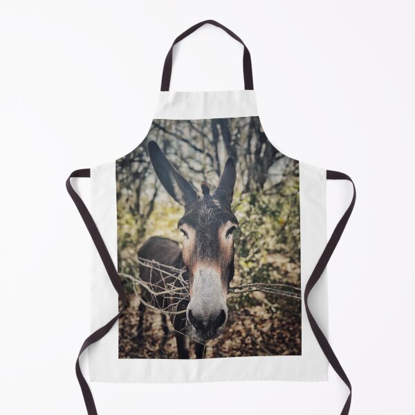 Item preview, Old Burro designed and sold by Jason Tompkins.
