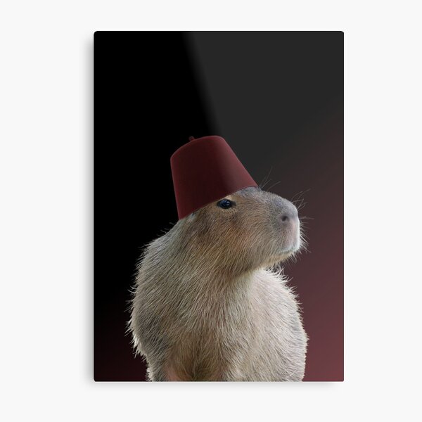 Aperçu de l'œuvre Capybara à Fès créée et vendue par Studio Dalio.