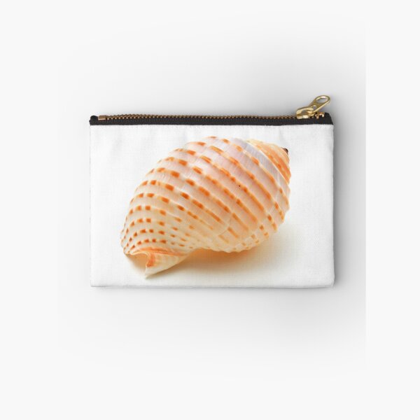Item preview, Seashell designed and sold by troianifabrizio.