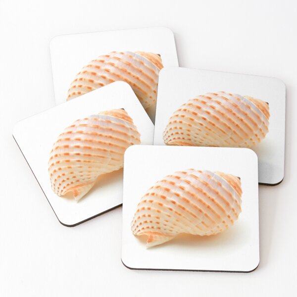 Item preview, Seashell designed and sold by troianifabrizio.