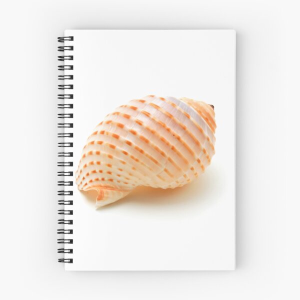 Item preview, Seashell designed and sold by troianifabrizio.