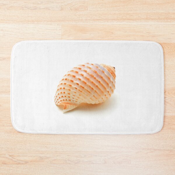 Item preview, Seashell designed and sold by troianifabrizio.