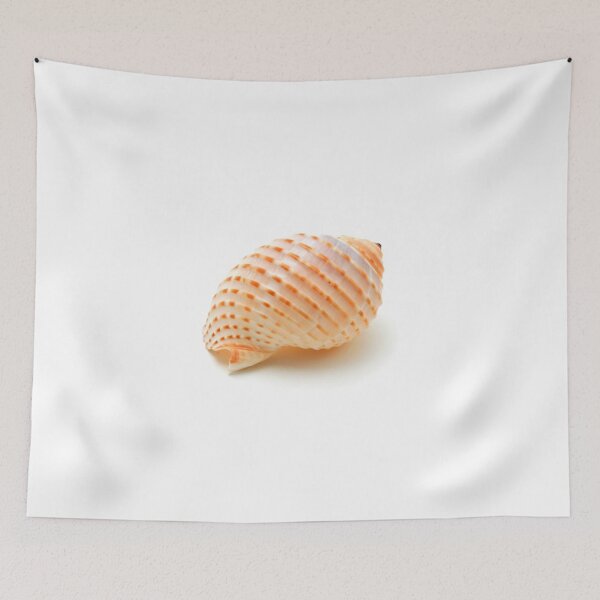 Item preview, Seashell designed and sold by troianifabrizio.