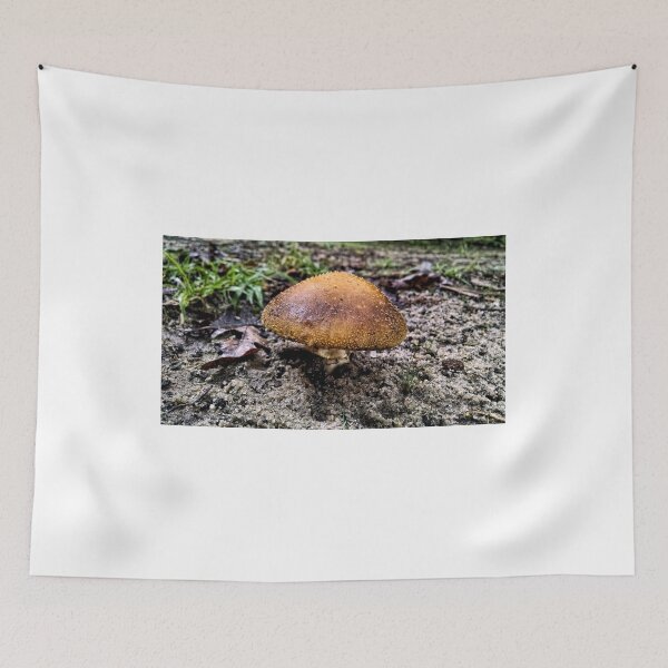Item preview, Mushrooms In A North Carolina Forest designed and sold by jtrommer.