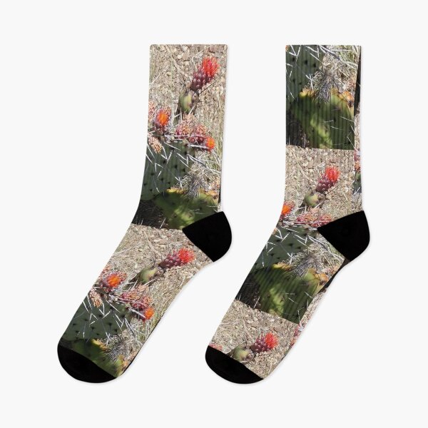 Item preview, Cactus flowering  designed and sold by Dr. Gabriella Korosi.