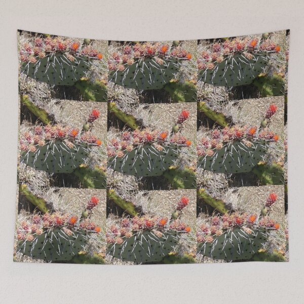 Item preview, Cactus flowering  designed and sold by Dr. Gabriella Korosi.