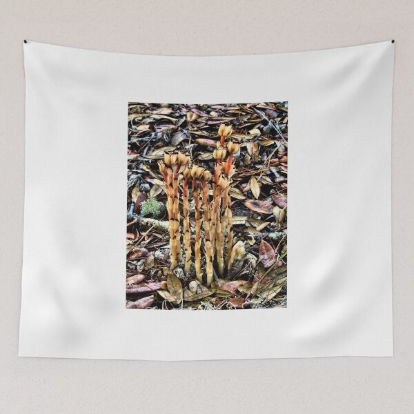 Item preview, Mushrooms - Indian pipes - Florida designed and sold by jtrommer.