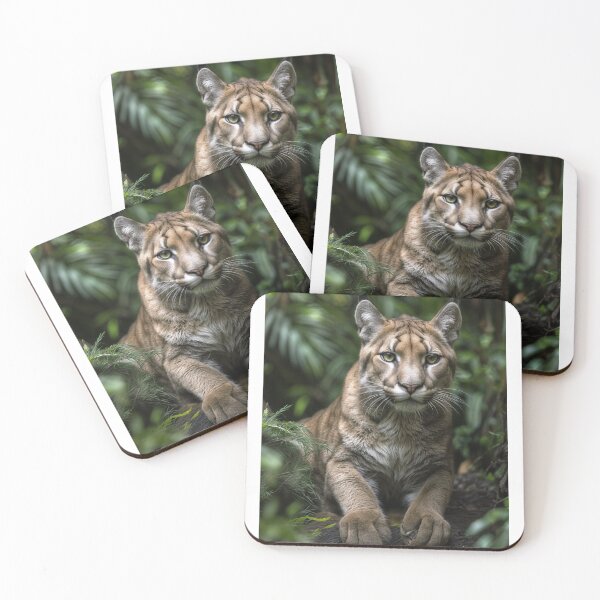 Item preview, Striped Puma: Jungle Wanderer designed and sold by Bittor18.
