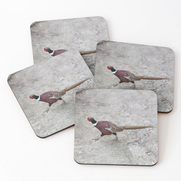 Item preview, Ring Necked Pheasant designed and sold by TheRealDanniX.