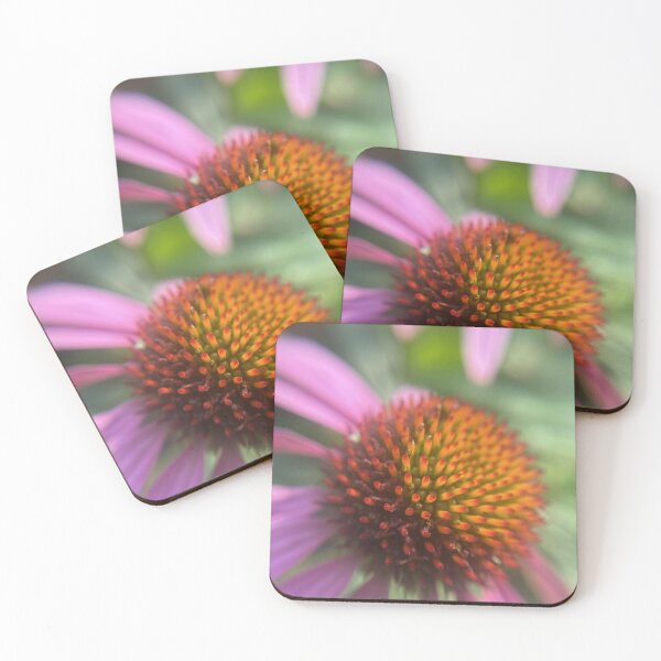 Item preview, Purple coneflower in bloom designed and sold by cnh920.