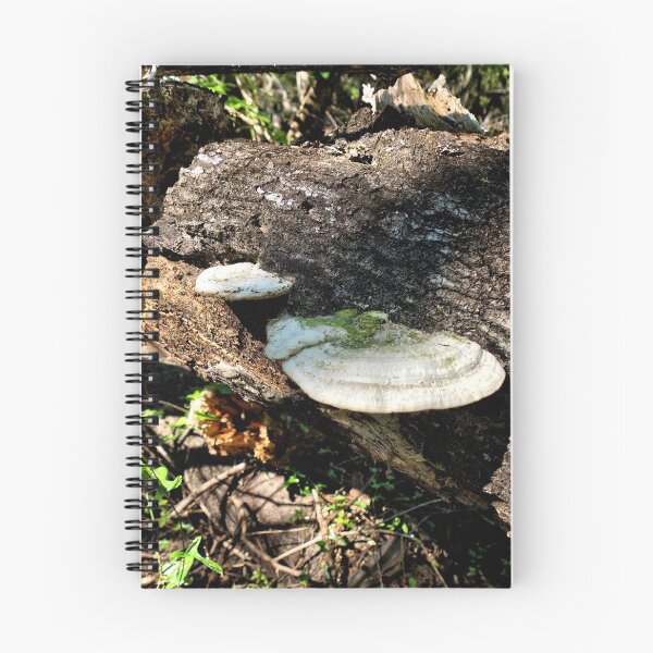 Item preview, Fungi In A Florida Forest 2 designed and sold by jtrommer.