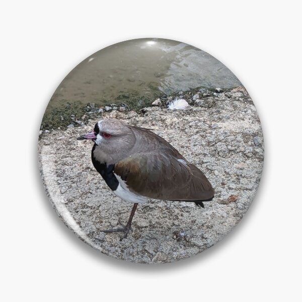 Item preview, Southern Lapwing designed and sold by TheRealDanniX.