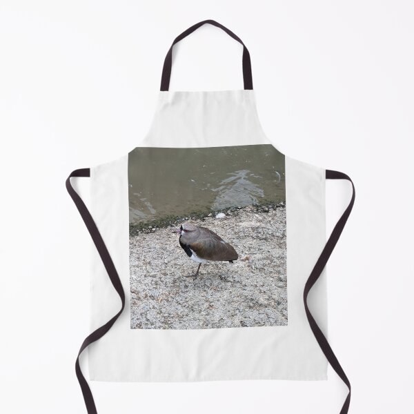 Item preview, Southern Lapwing designed and sold by TheRealDanniX.